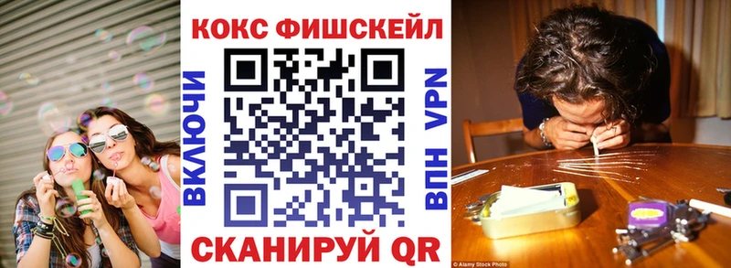 Купить закладки  Гагарин  Кокаин Fish Scale 