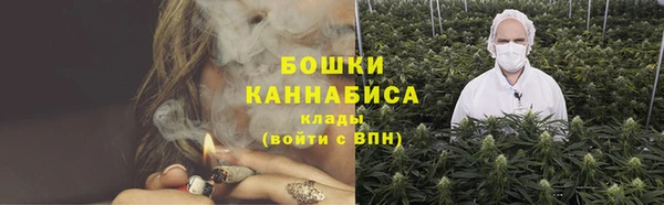 крисы Кинешма