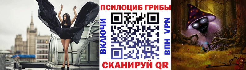 Купить где  Гагарин  Псилоцибиновые грибы мицелий 
